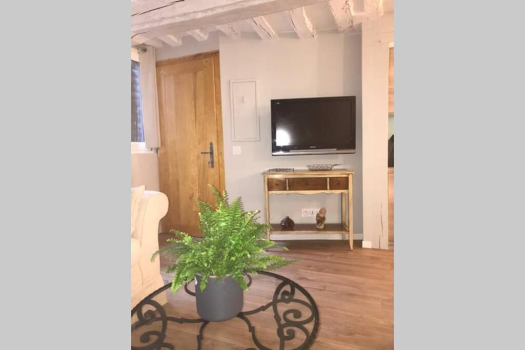 Appartement La P'tite Grise - Cosy Centre *
