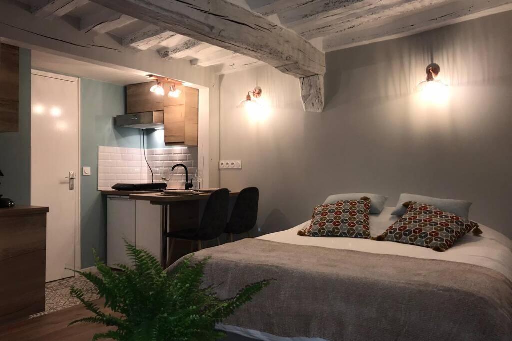 La P'tite Grise - Cosy Centre Appartement